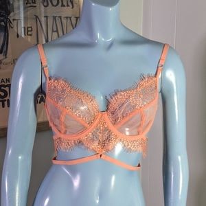 Bluebella for VS Coral Sheer Bralette